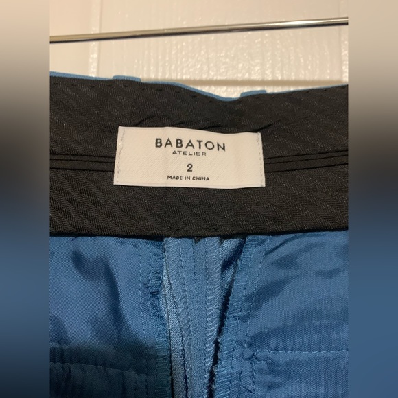 NWT BABATON Pleated Shorts 3” size 2 Aritzia - Picture 4 of 4